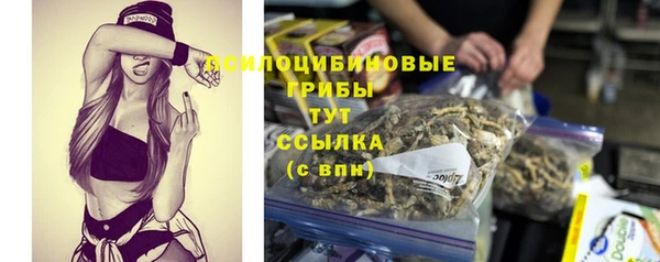 PSILOCYBIN Саяногорск