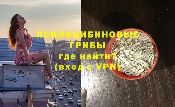 дмт Алексеевка