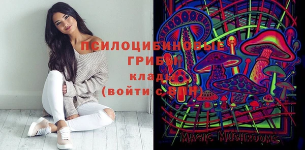 дмт Алексеевка