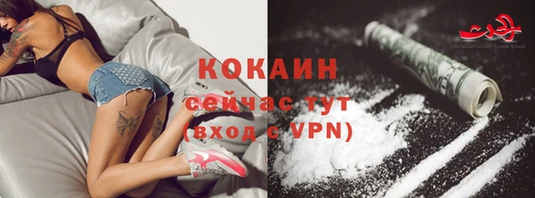 тгк Семёнов