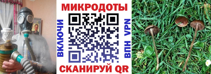Галлюциногенные грибы мухоморы  omg сайт  Андреаполь 